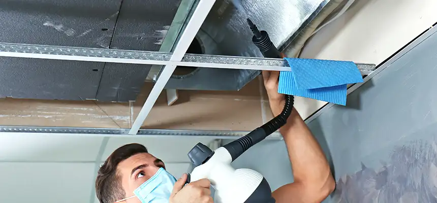 Our Air Duct Rodent Removal Services in South Pasadena, CA