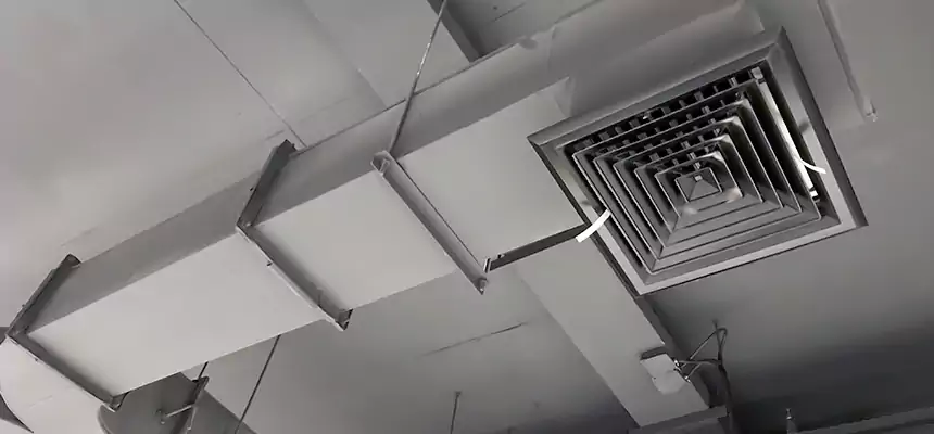 Restorative Allergy Relief Vent Cleaning – Coil, Blower & Housing Detail in South Pasadena