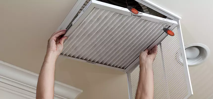 Our Insect Removal from Air Ducts Services in South Pasadena, CA