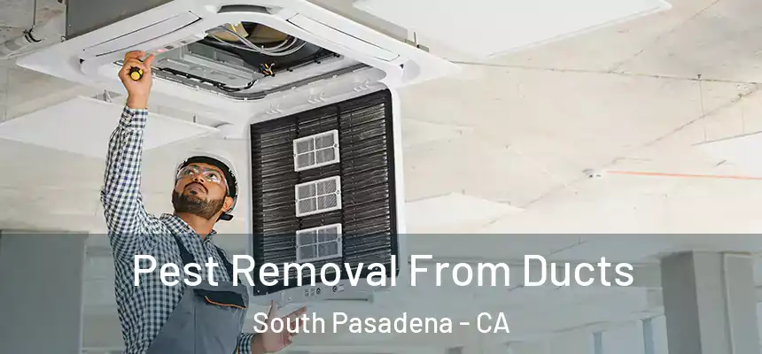 Pest Removal From Ducts South Pasadena - CA