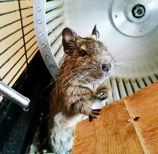 Why Homeowners & Businesses Trust Us South Pasadena, CA