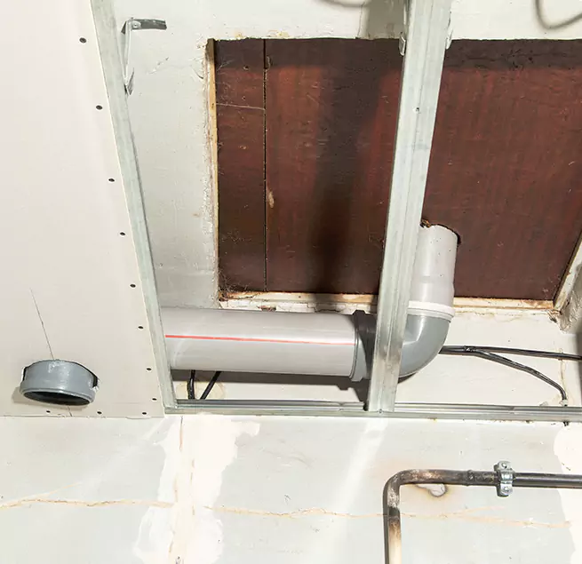 Why Homeowners & Businesses Trust Us in South Pasadena, CA?