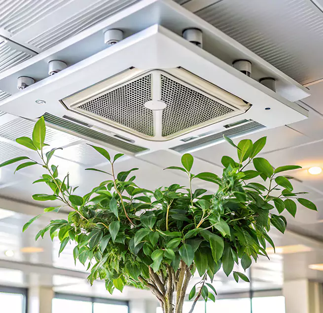 Why Homeowners & Businesses Trust Us in South Pasadena, CA