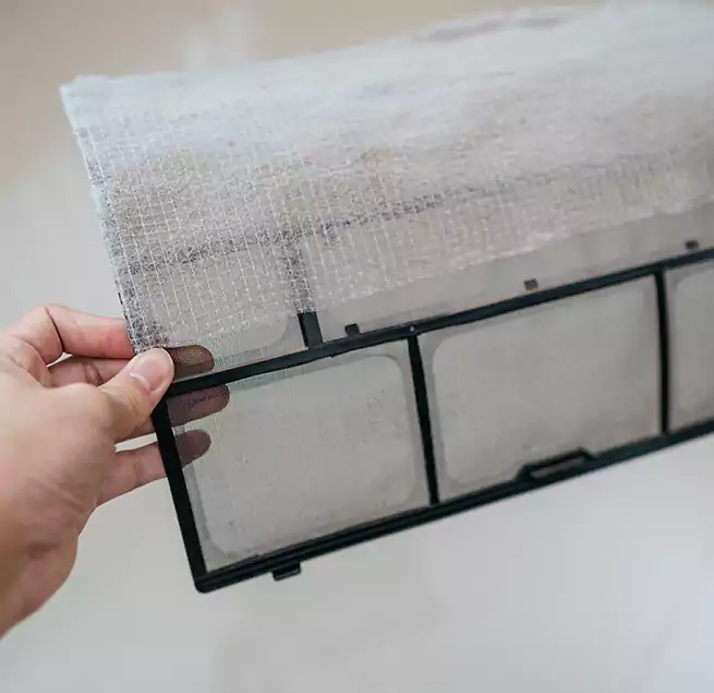 Why Homeowners & Businesses Trust Us in South Pasadena, CA?