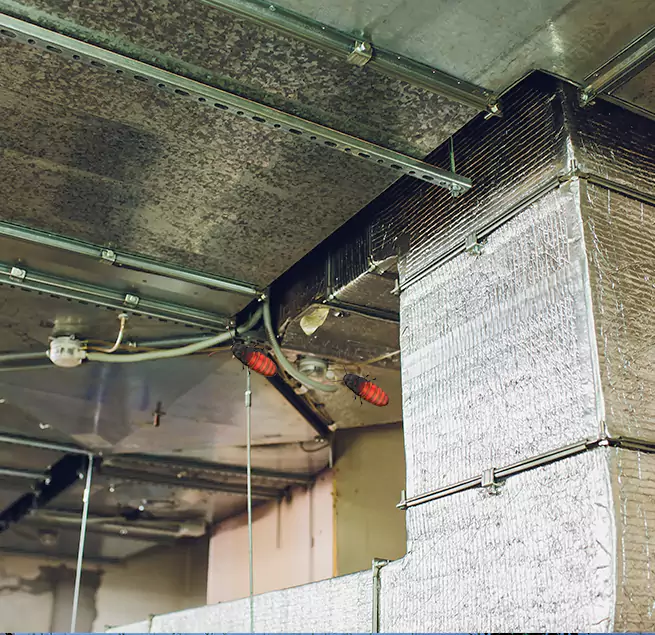 Why Homeowners & Businesses Trust Us South Pasadena, CA?