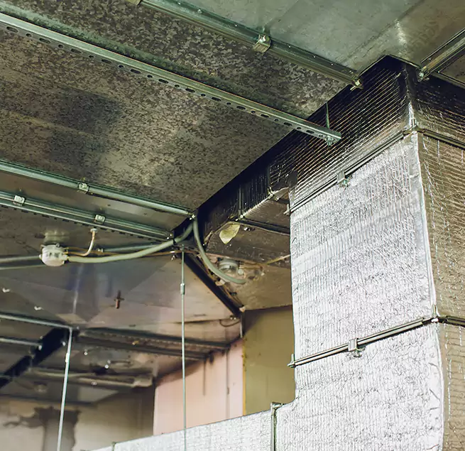 Why Homeowners & Businesses Trust Us in South Pasadena, CA?